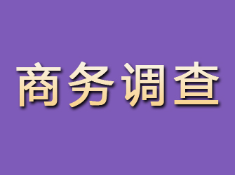 林甸商务调查